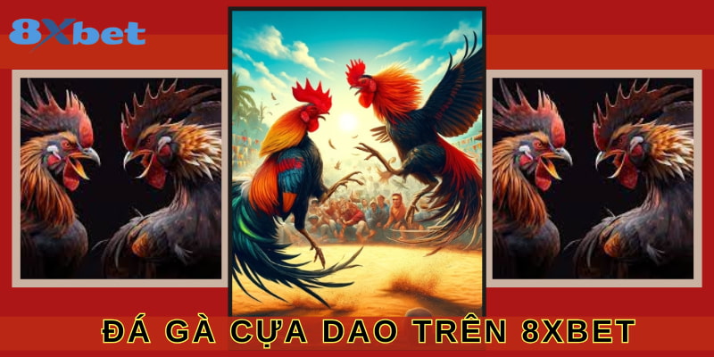 Chọi kê cựa dao là loại hình thu hút đông đảo người tham gia