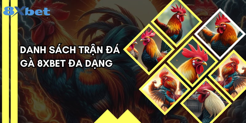 Có rất nhiều trận chọi mỗi ngày trên sảnh cược của chúng tôi