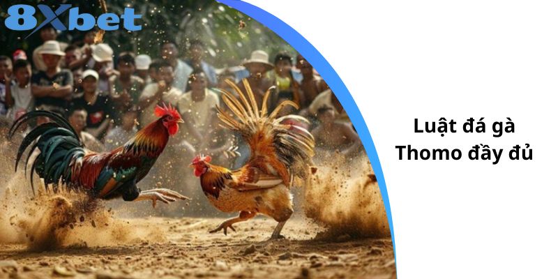 Luật đá gà Thomo đầy đủ