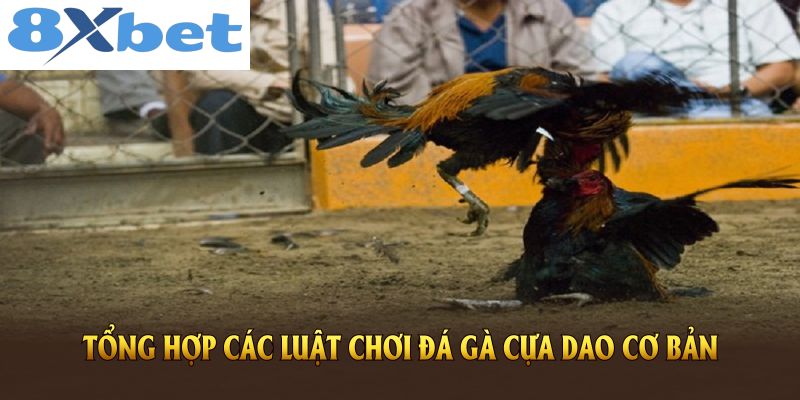 Tổng hợp các luật chơi đá gà cựa dao cơ bản