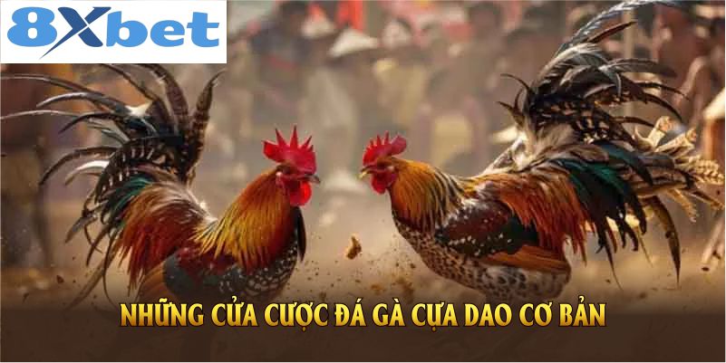 Các cửa cược đá gà cựa dao mà bạn cần biết